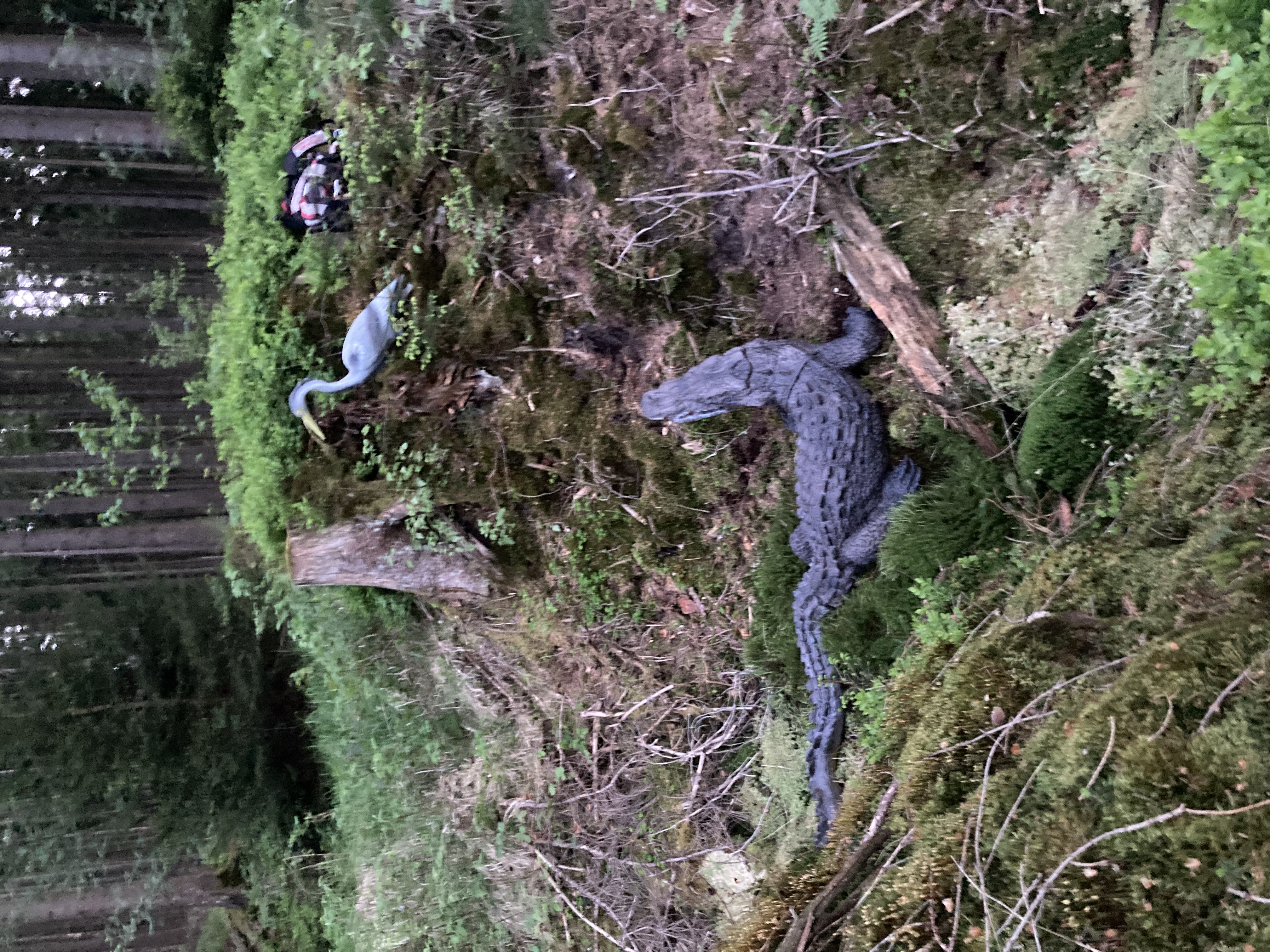 3D-Bogenparcours am Ochsenkopf Unterschiedliche Parcours Mittlere Runde - 20 Stationen