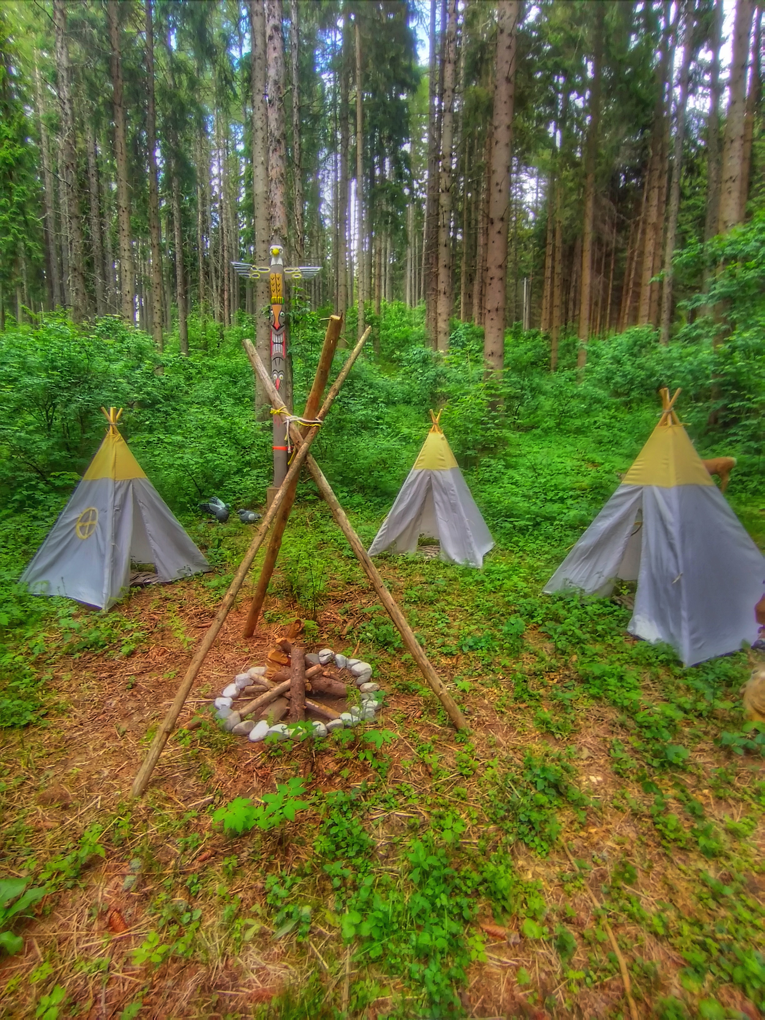 BSC Wegscheide Unterschiedliche Parcours 