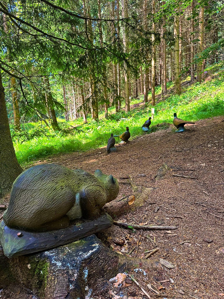Fürstliches Bogensport-Zentrum Bad Waldsee Different courses Forest course