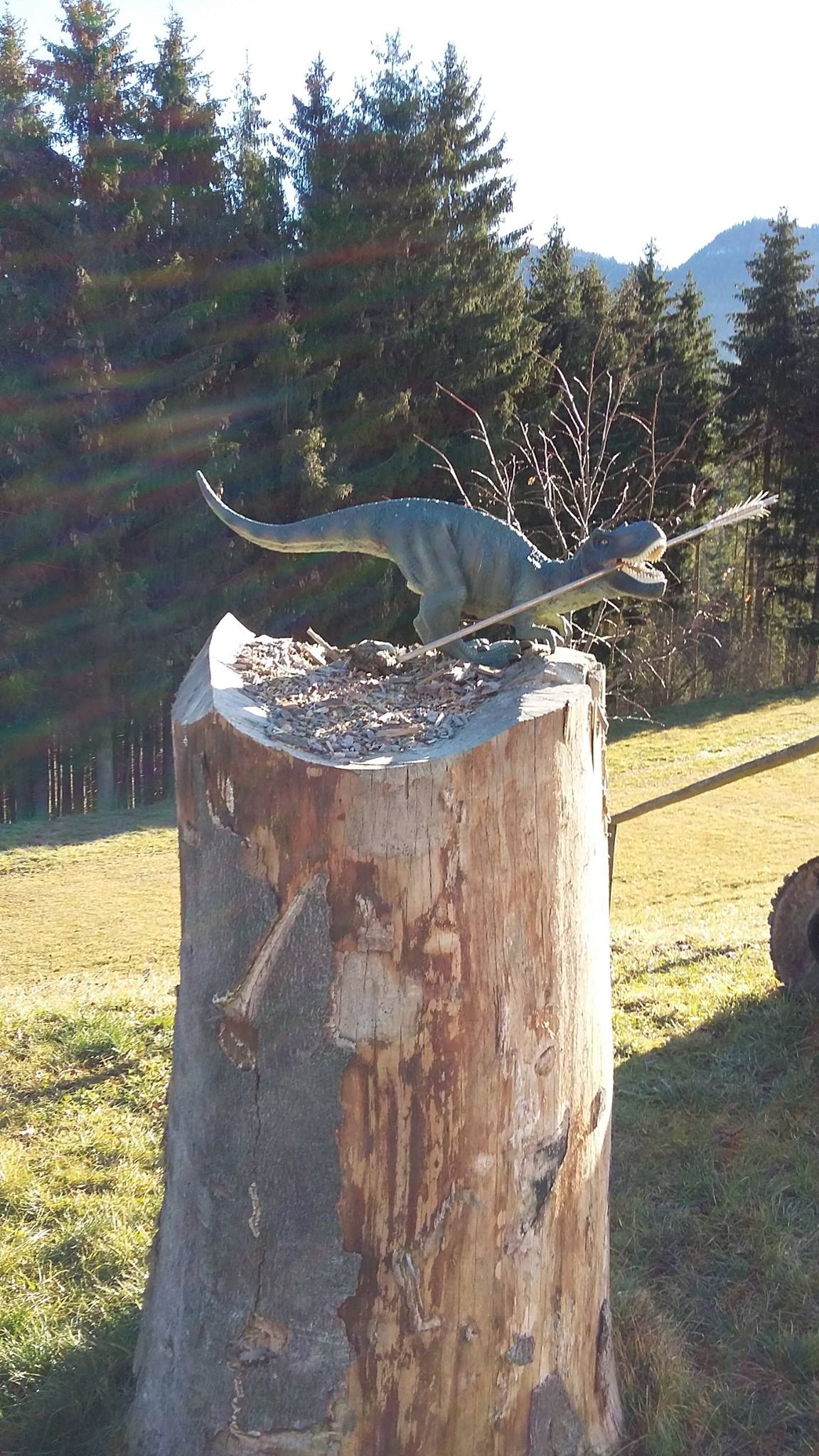 3D archery course - Styria - BSC Semriach