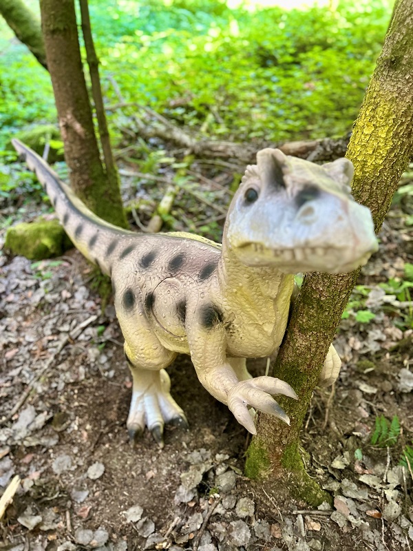 3D Parcour Bogenschießen: Eleven Dino - Woid-Schmid-3D