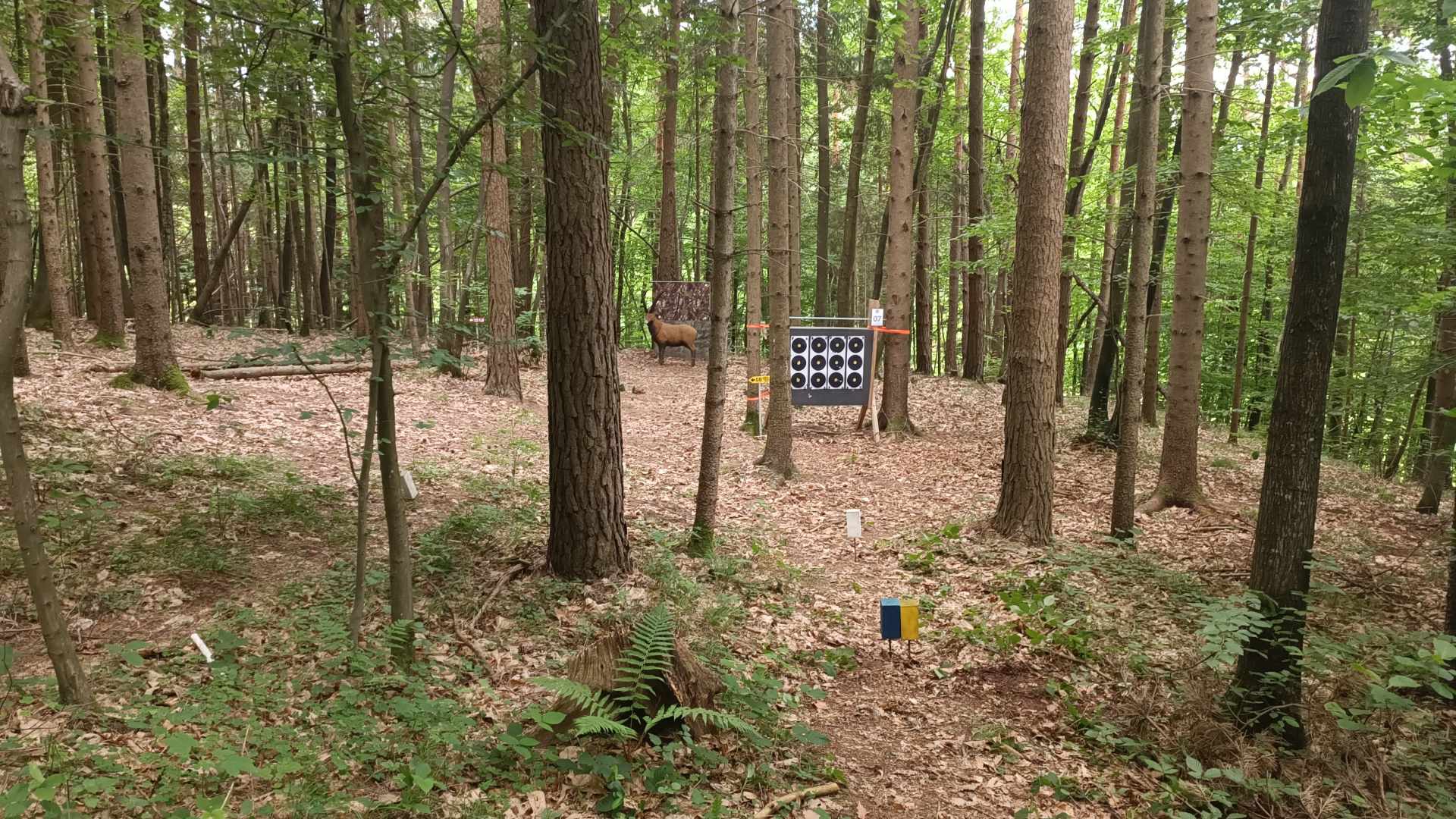 3D archery course - Weiz - BSV Raabtal