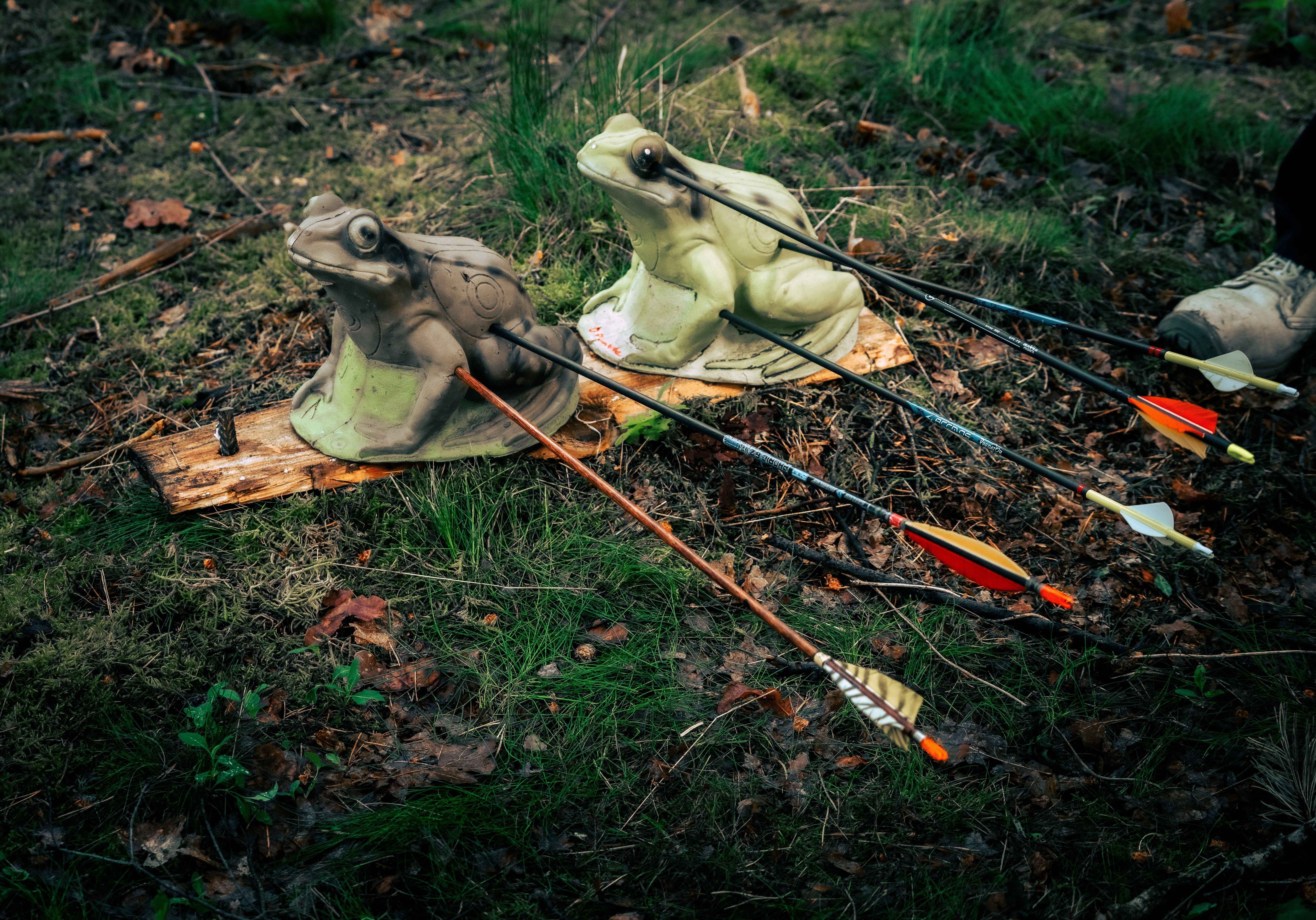 3D Parcour Bogenschießen: Archers Green Club Celle