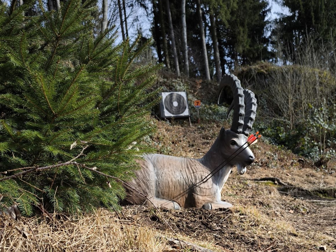 3D Parcour Bogensport - Marchtrenk - ASKÖ LUFTENBERG BOGENSPORT