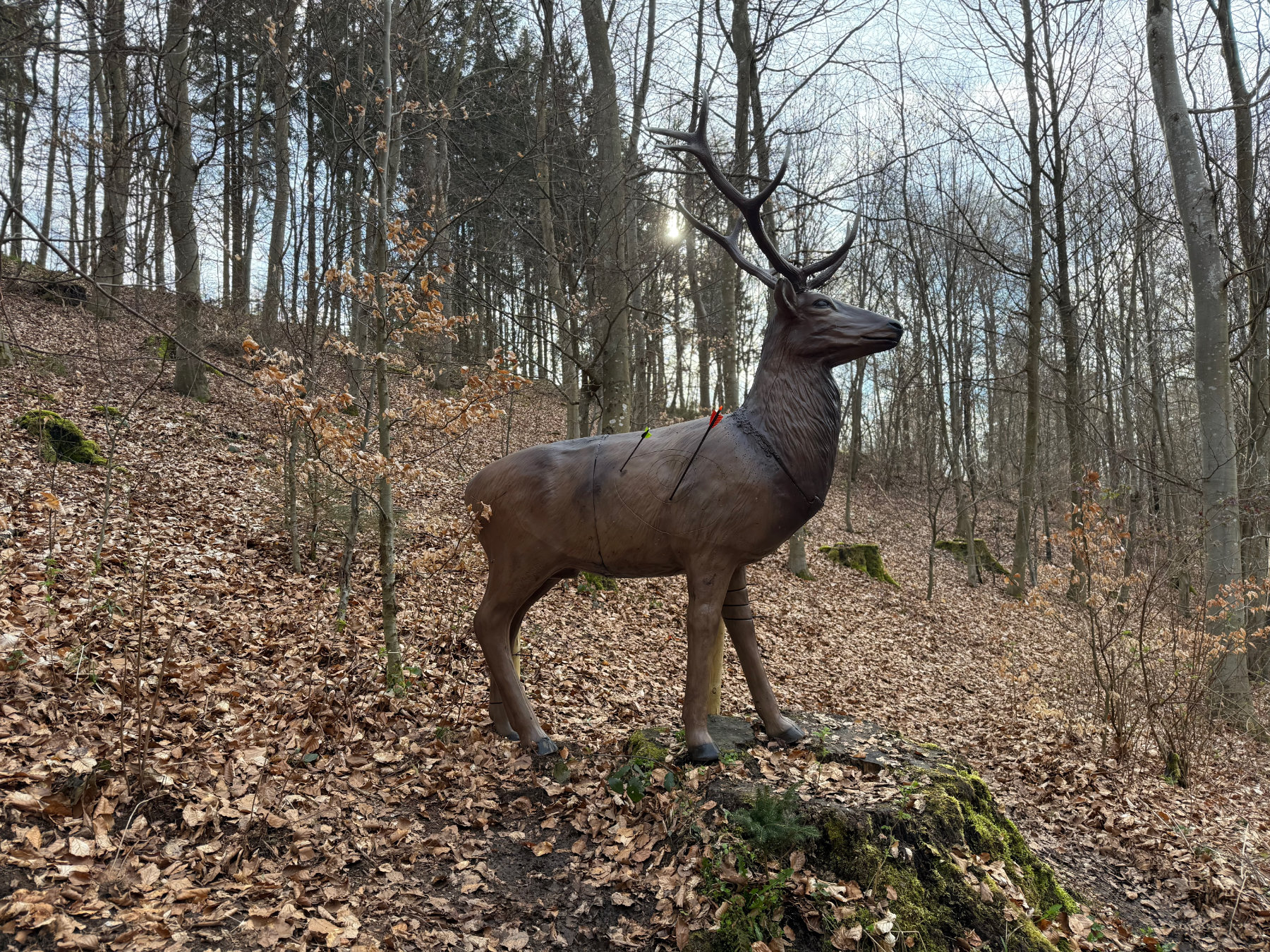 3D Parcour Bogenschießen: Rothirsch Weitschuss - Bogenparcours Kammerwald