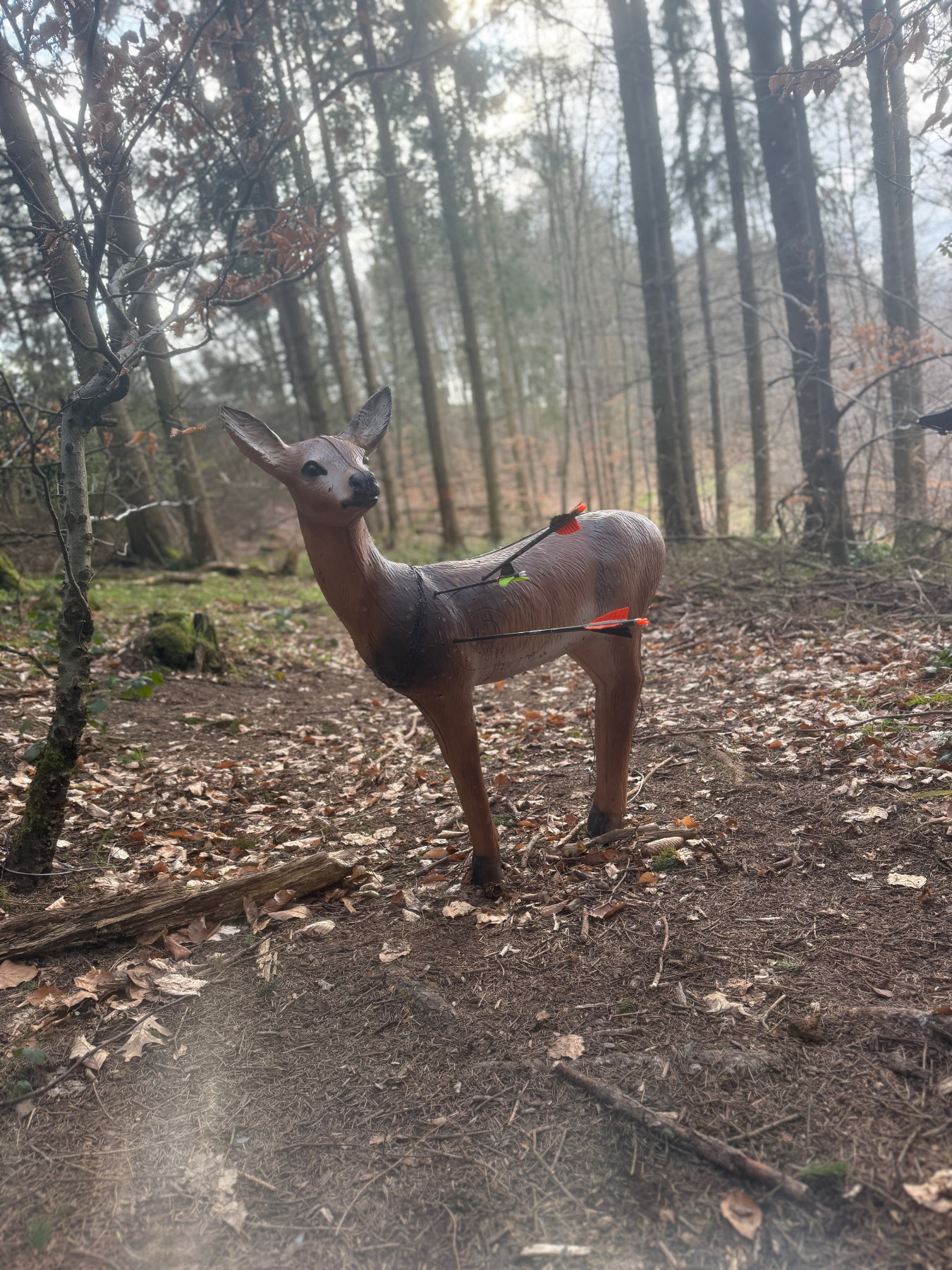 3D Parcour Bogenschießen: Rehbock - Bogenparcours Kammerwald