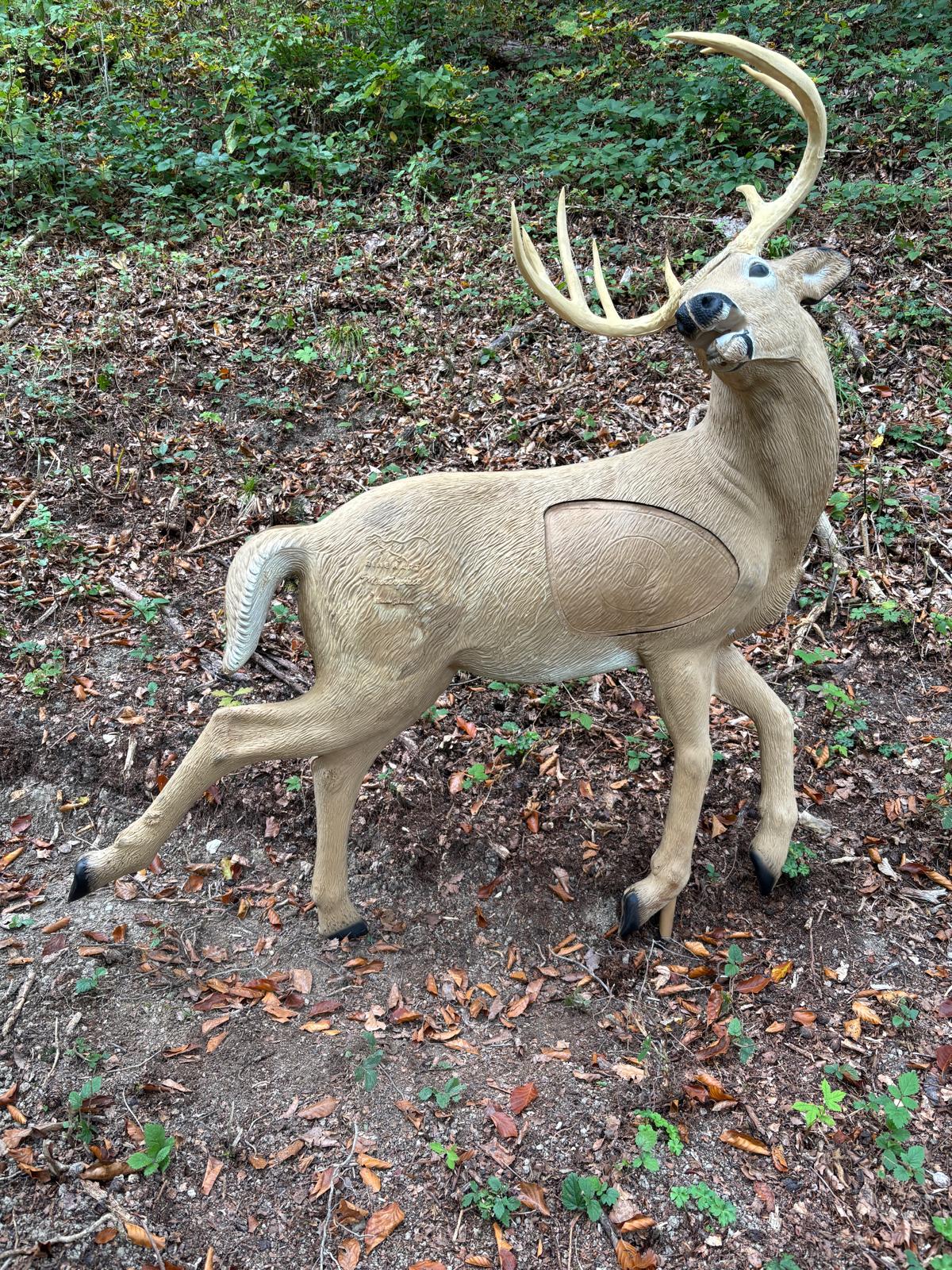 3D Parcour Bogenschießen: BSC Ennstal - Haller Jagasteig
