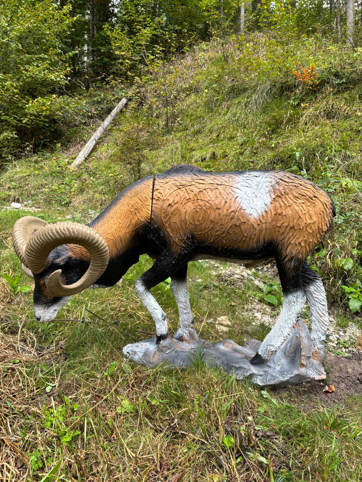 3D Parcour Bogenschießen: BSC Ennstal - Haller Jagasteig