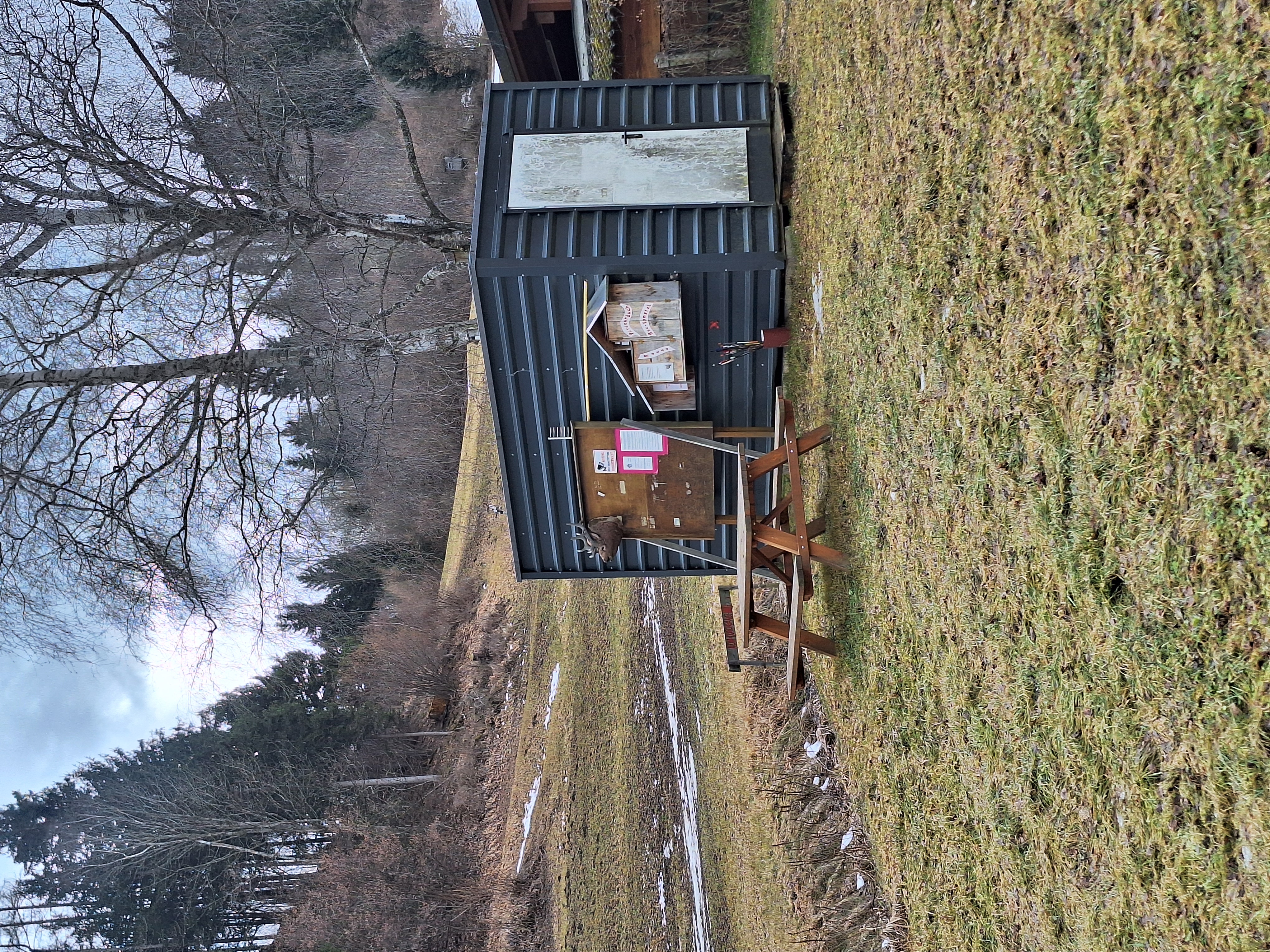 3D Parcour Bogenschießen: BSC- Ennstal Aigen/E Hohenberg
