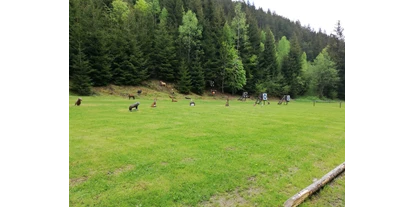 3D archery course - St. Veit an der Glan - BSV Göschelsberg