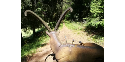 3D archery course - St. Veit an der Glan - BSV Göschelsberg