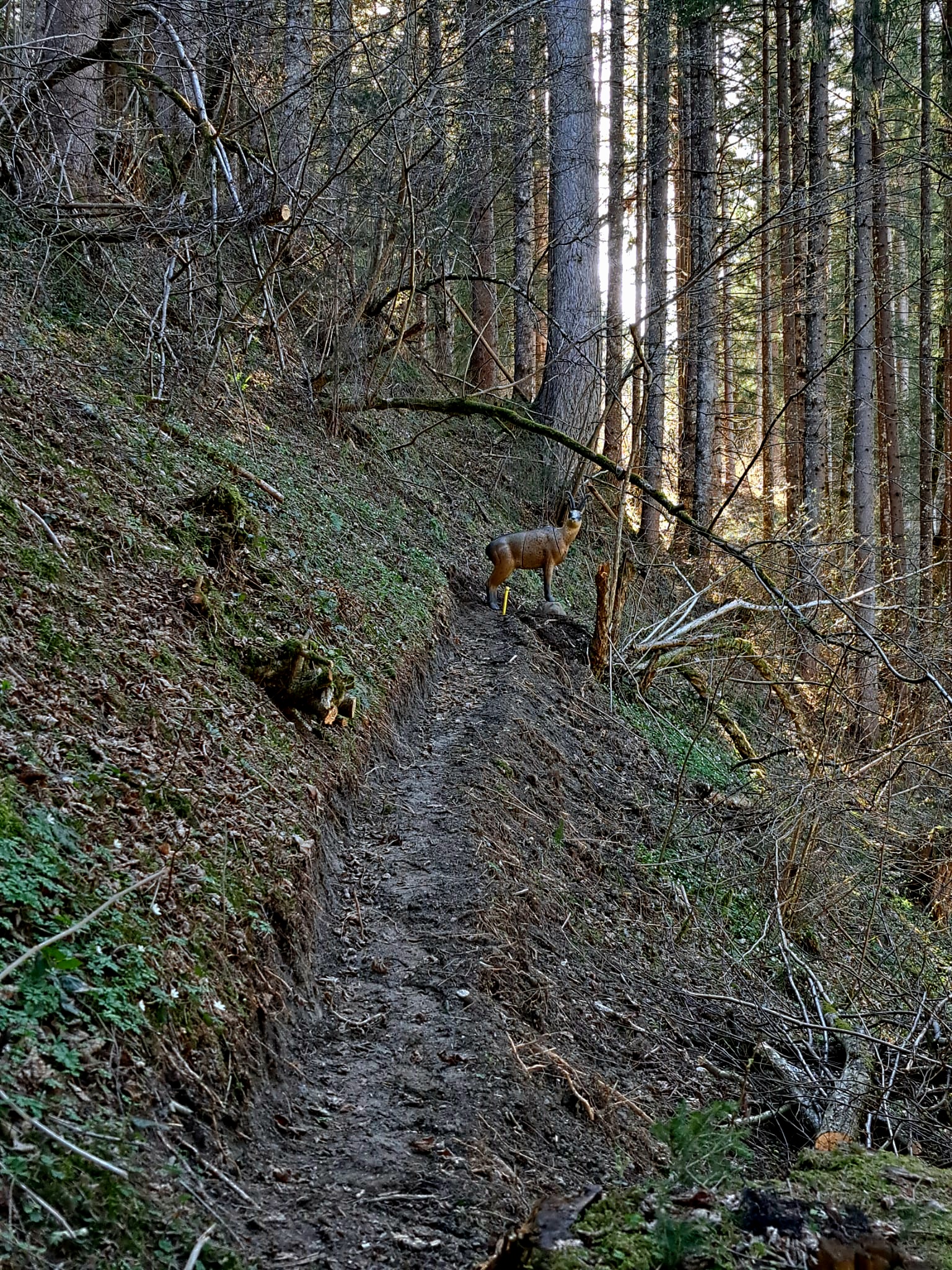 3D Parcour Bogensport - Mühlbach am Hochkönig - BSC Niedernsill