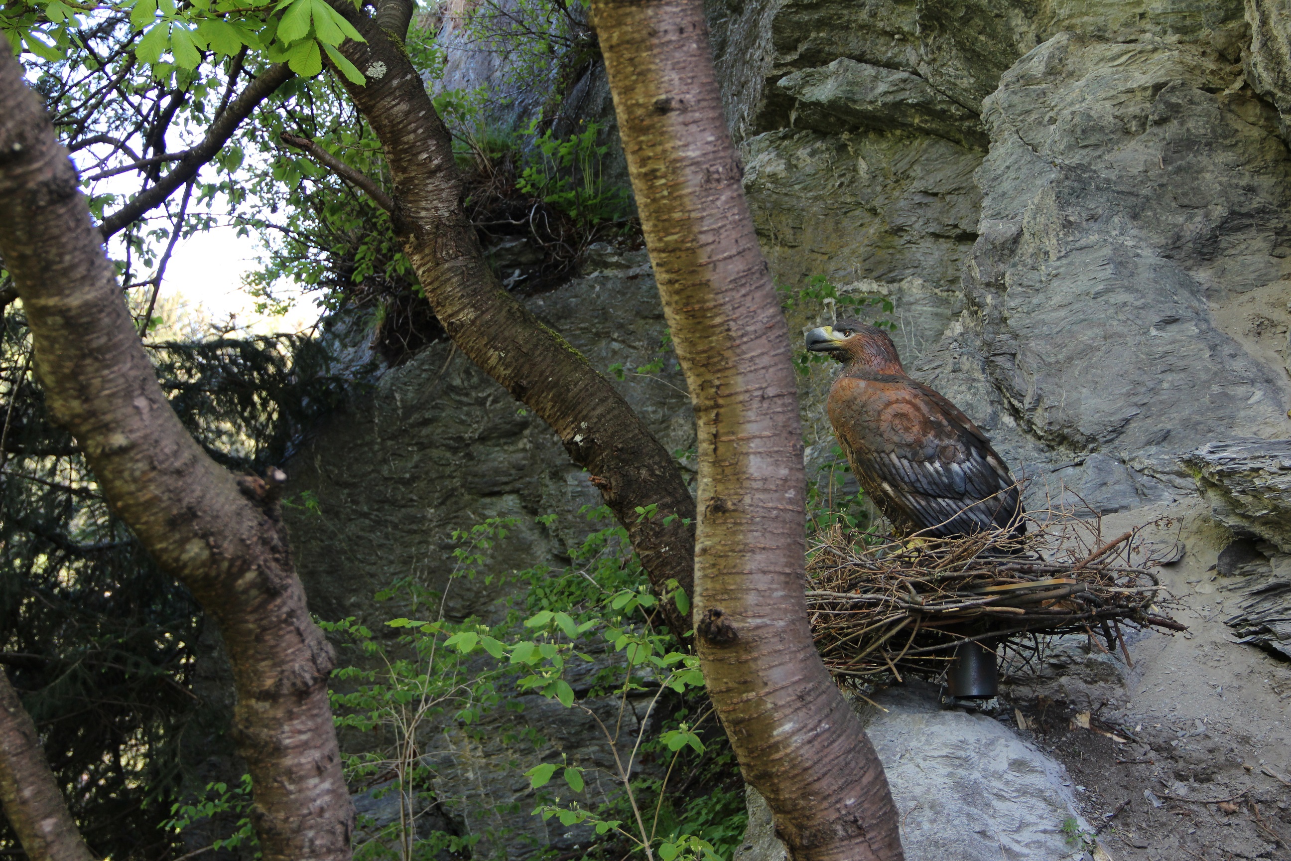 3D Parcour Bogenschießen: Wipptaler BSC