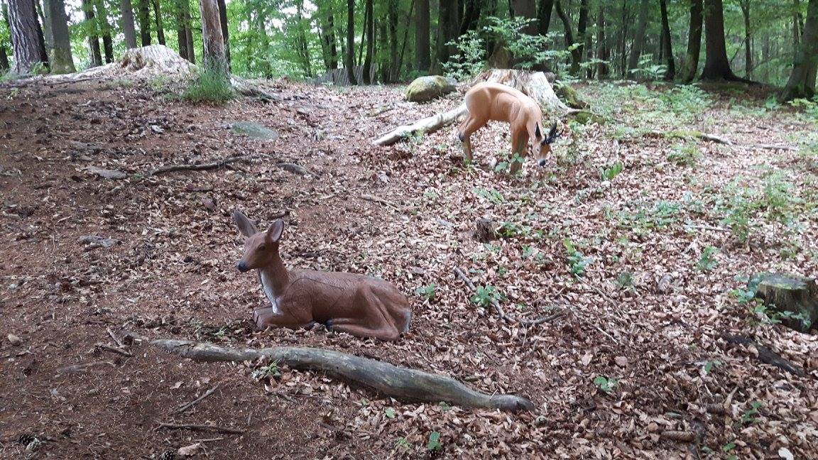 3D archery course - Carinthia - Bogensportarena Velden