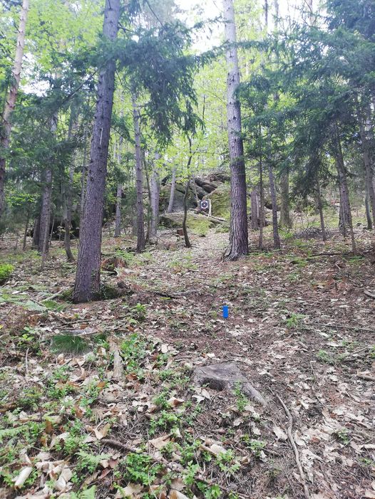 3D archery course - Styria - BS Gugganderl