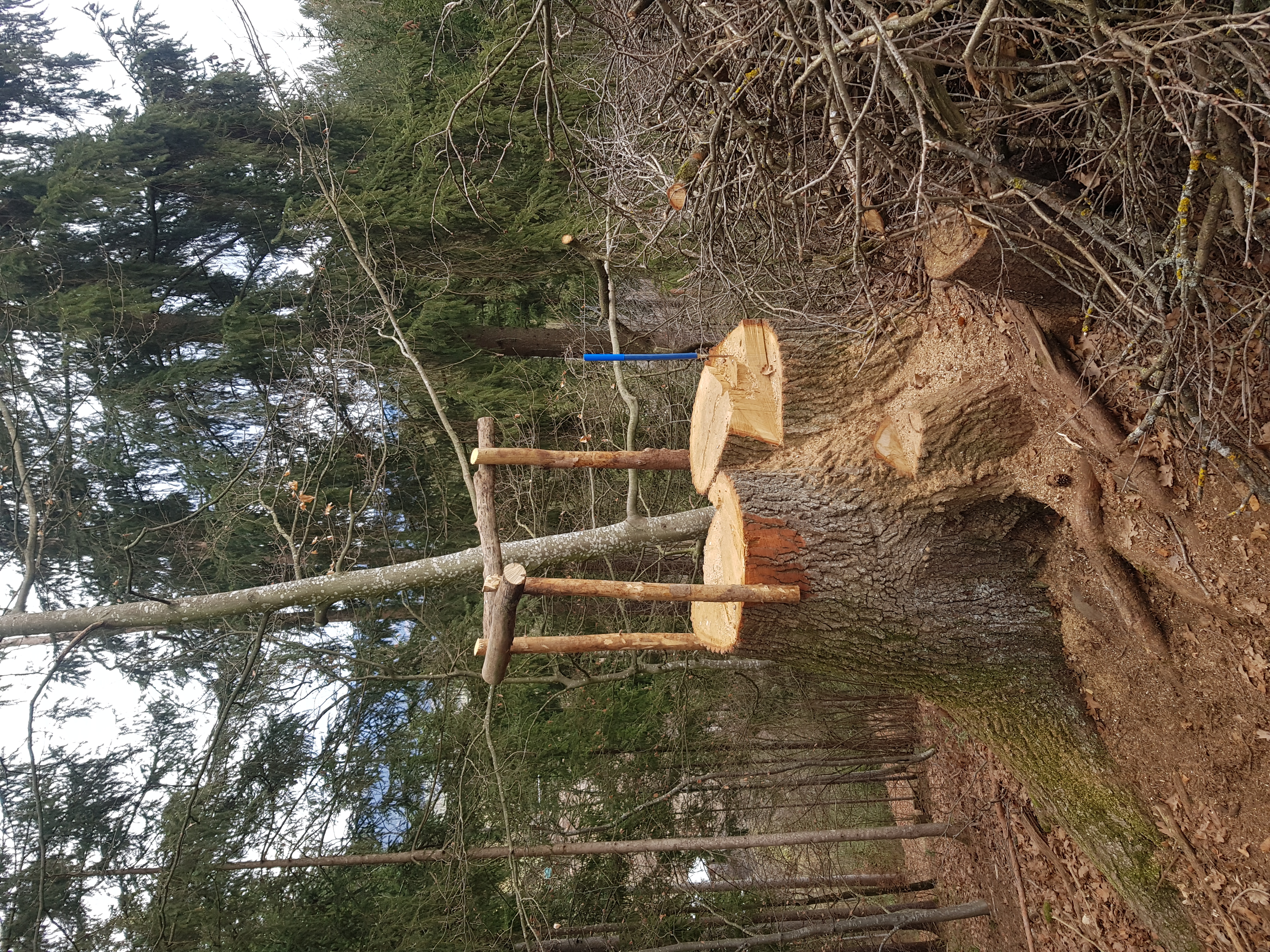 3D Parcour Bogensport - Steiermark - Hochstand mal anders... - BSG Griasboch