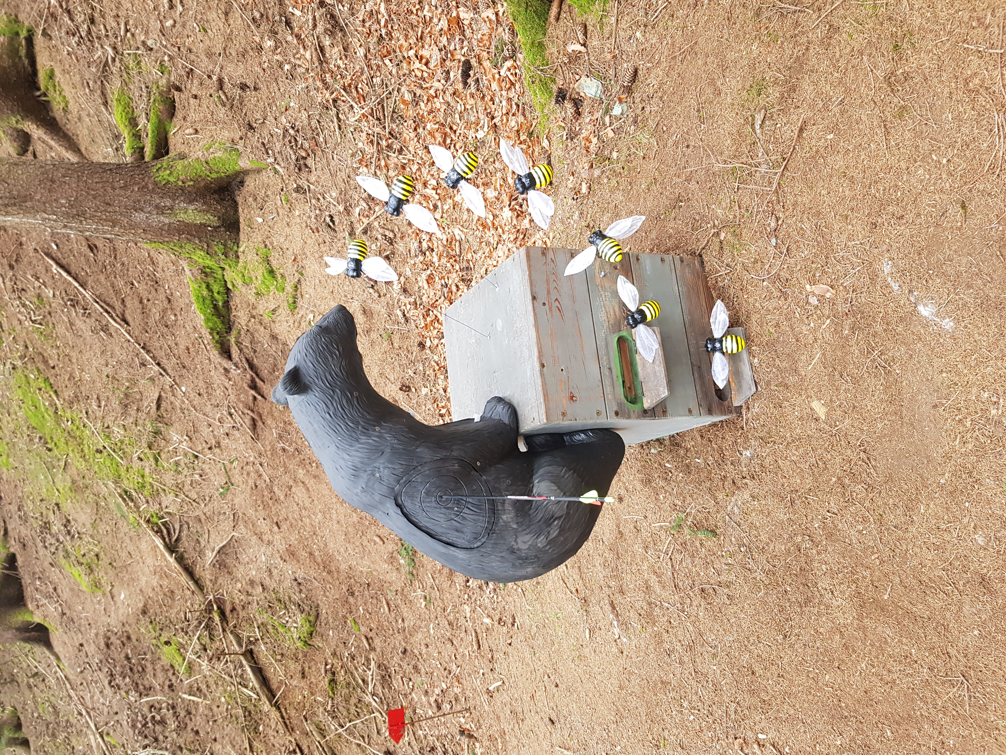 3D Parcour Bogensport - Steiermark - Wo fliegen denn die Bienen hin? - BSG Griasboch