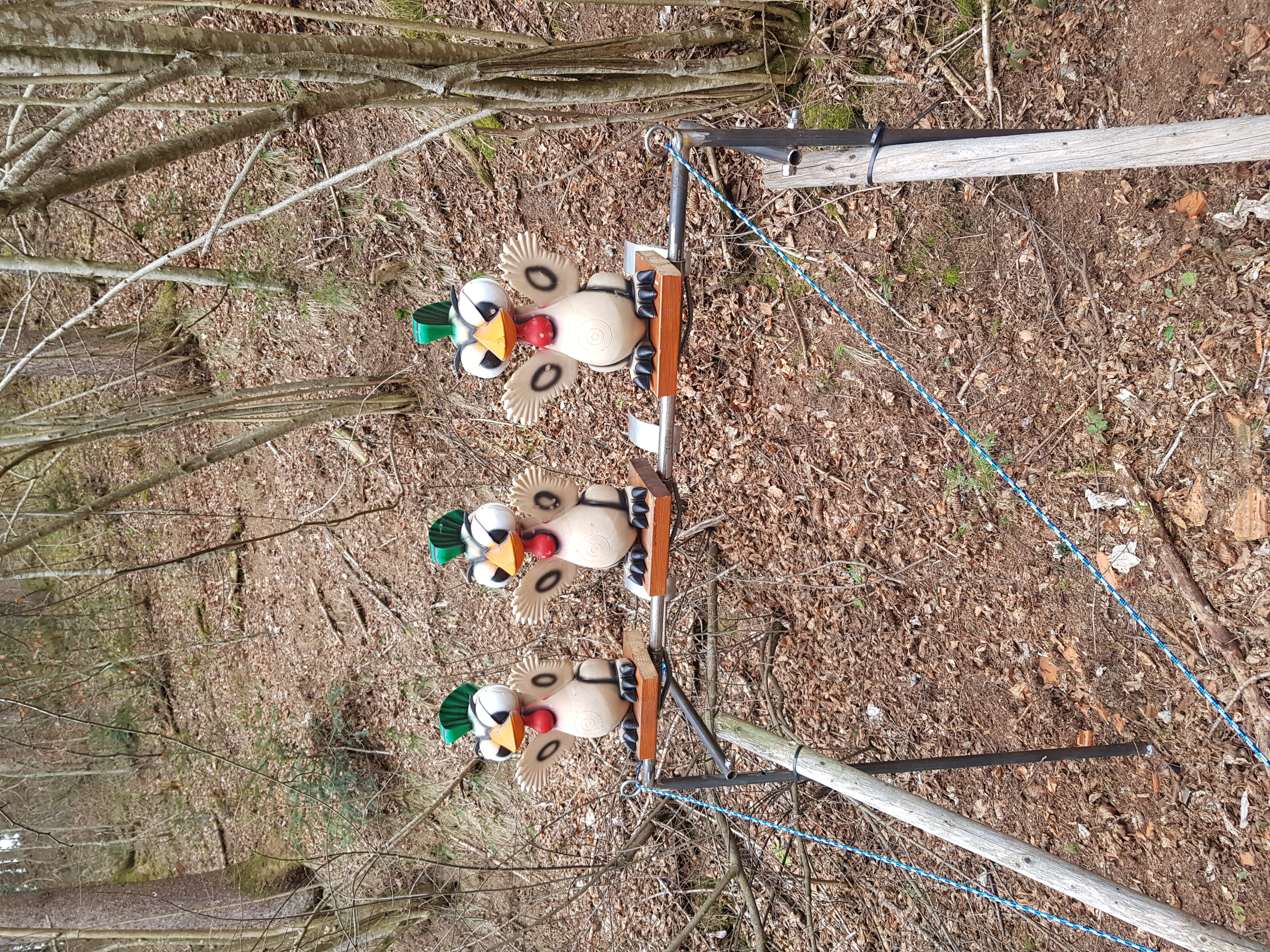3D Parcour Bogensport - Steiermark - Moorhühner mal anders.... - BSG Griasboch