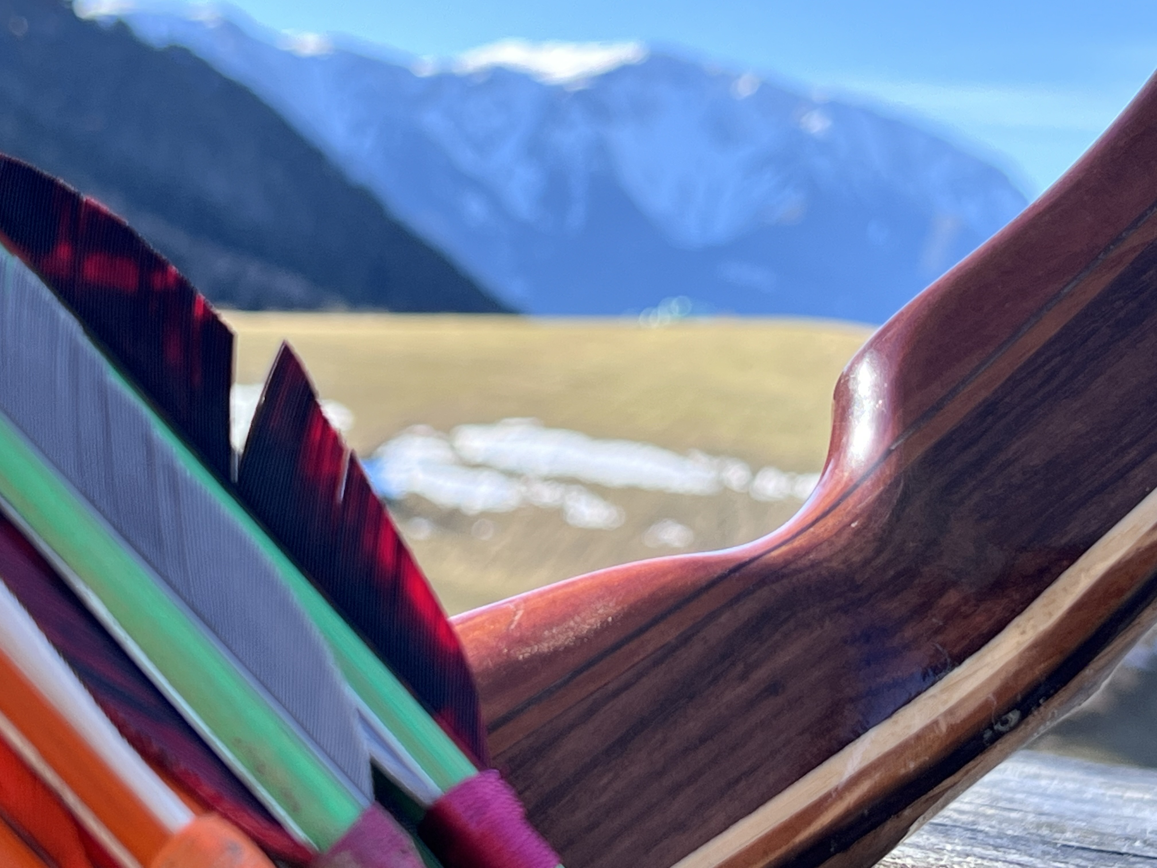 3D Parcour Bogenschießen: 3D Bogensport Puchberg