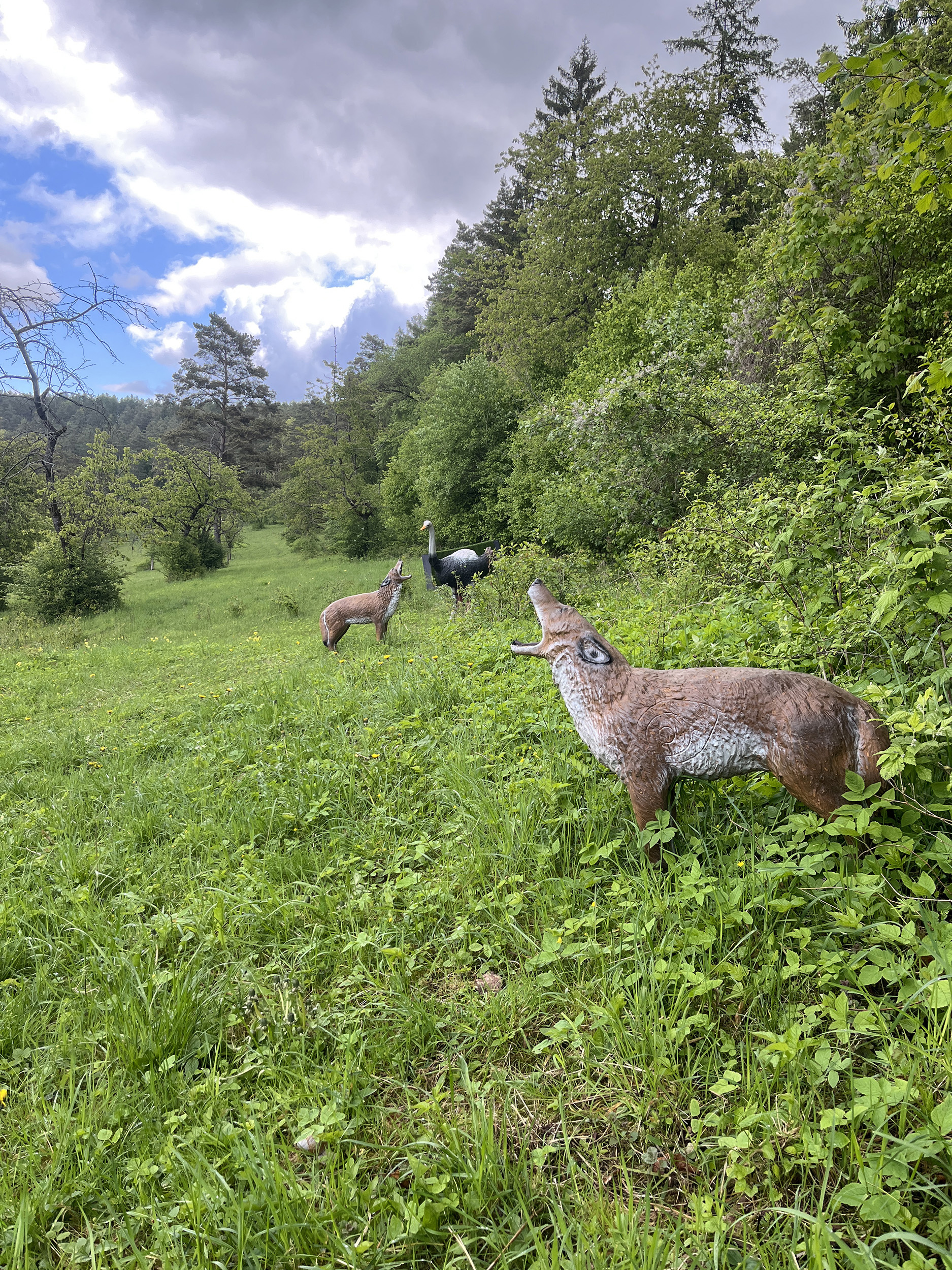3D Parcour Bogenschießen: Centerpoint Parcours Treffurt