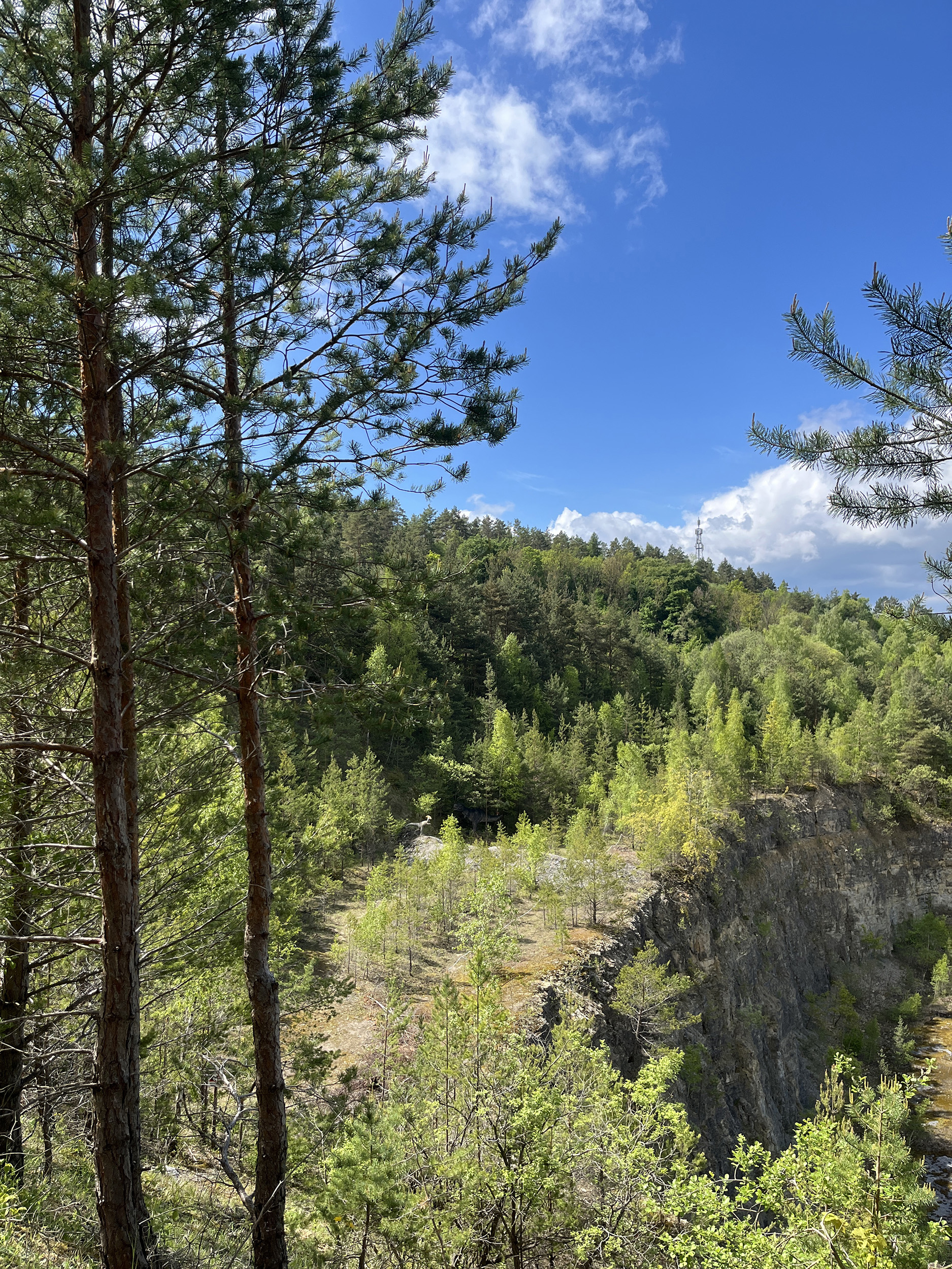 3D Parcour Bogenschießen: Centerpoint Parcours Treffurt