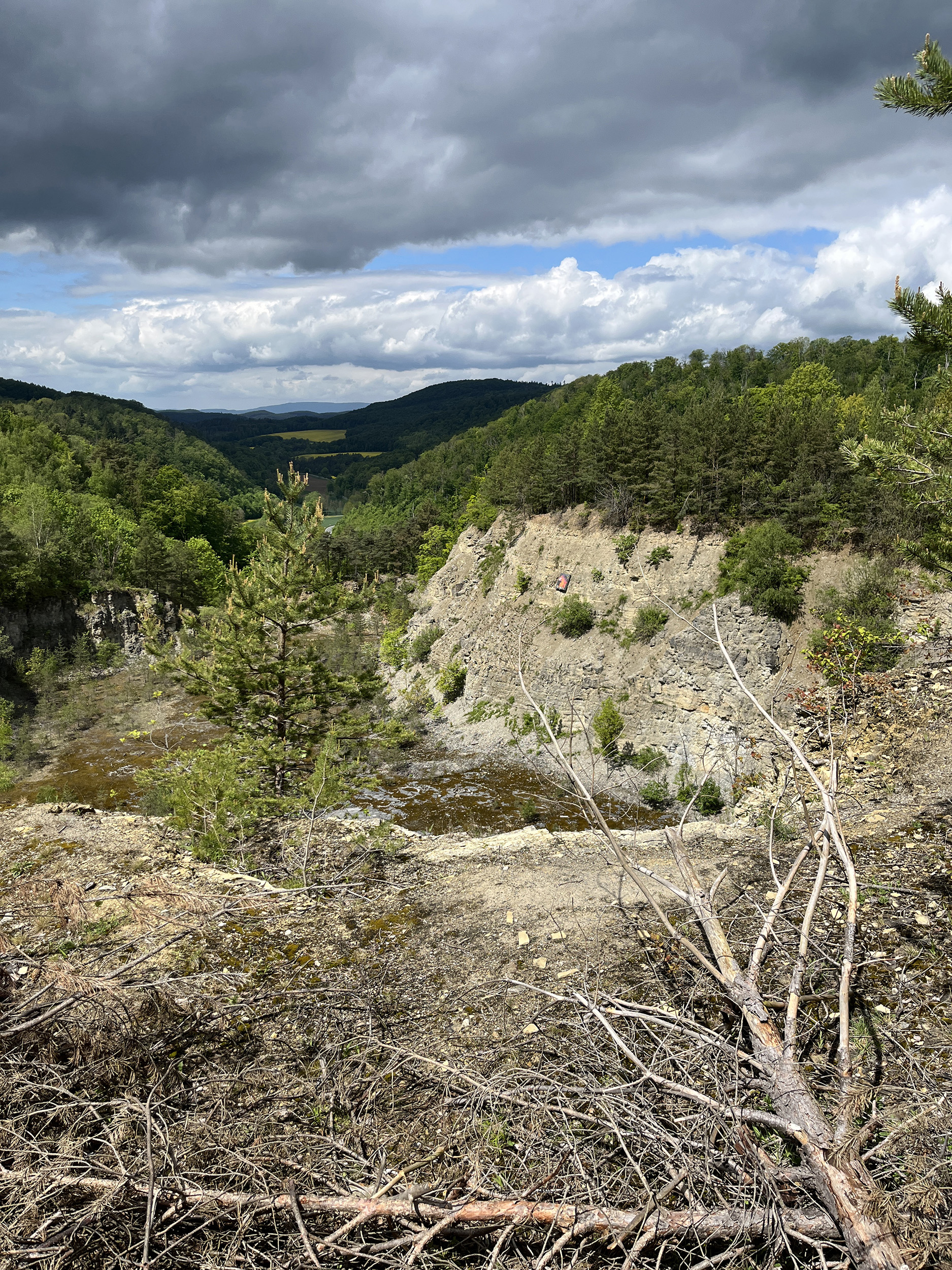 3D Parcour Bogenschießen: Centerpoint Parcours Treffurt