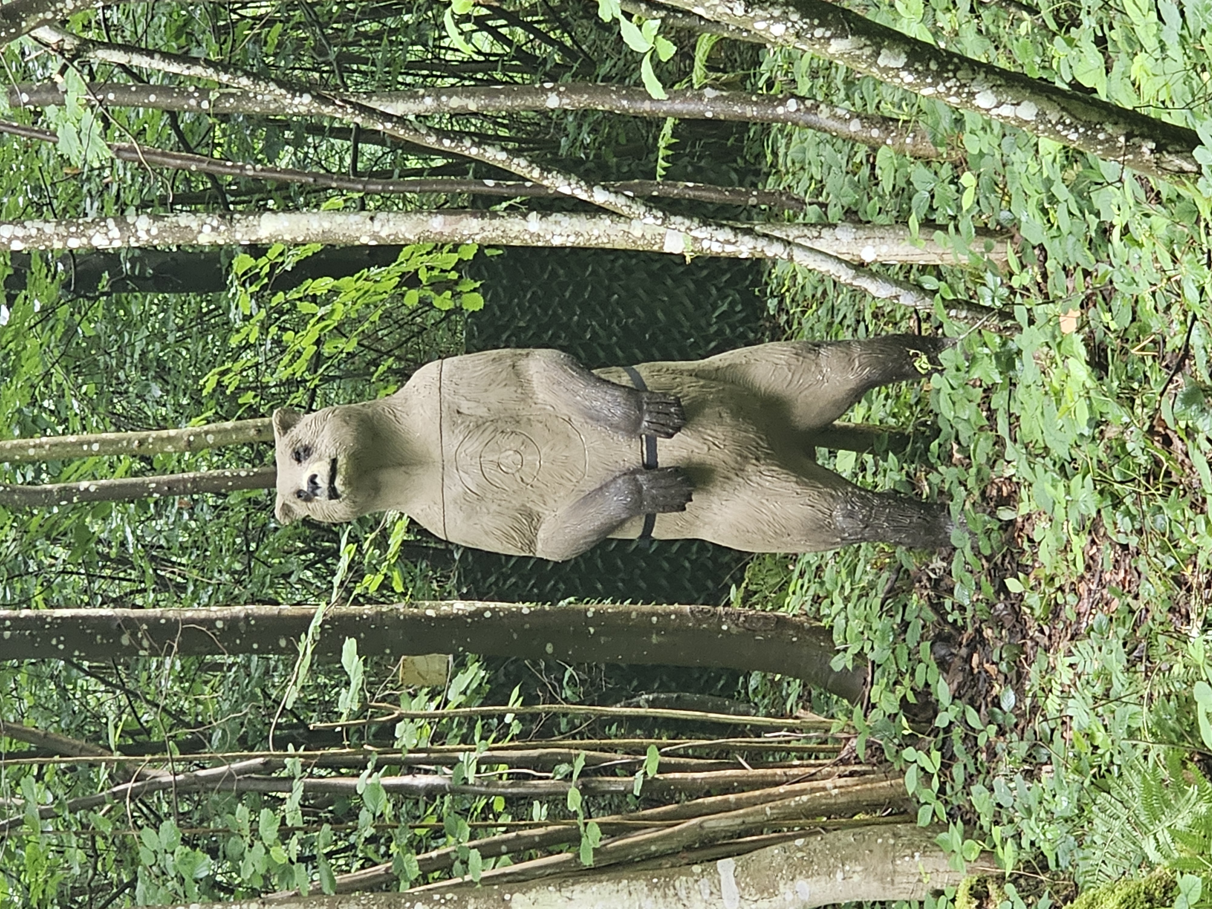 3D Parcour Bogenschießen: Bsc Stimmersee 