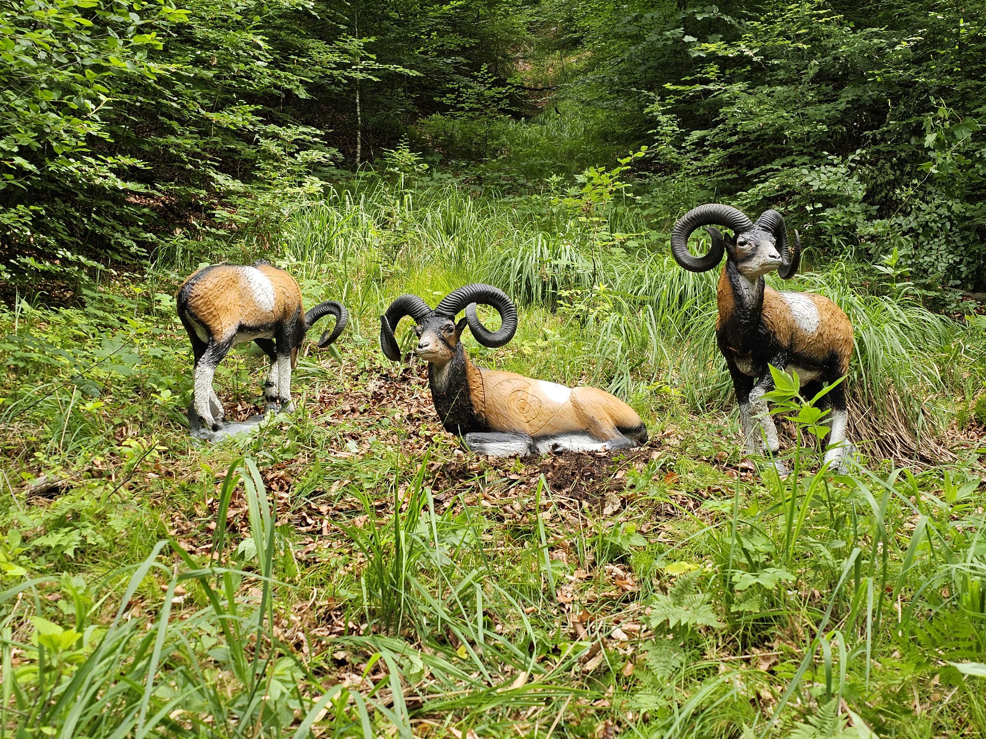 3D Parcour Bogenschießen: Bsc Stimmersee 