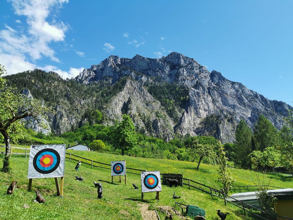 3D archery course - Salzkammergut - BSV Salzkammergut