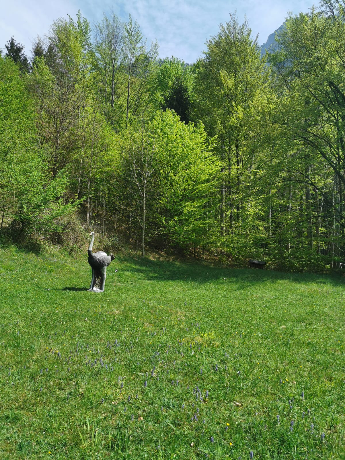 3D archery course - Salzkammergut - BSV Salzkammergut