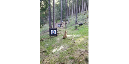 3D archery course - St. Veit an der Glan - Einschussplatz - ARBÖ-ASKÖ Friesach 3D Parcours Lorenzenberg