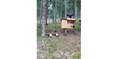 3D archery course - St. Veit an der Glan - Anmeldung  - ARBÖ-ASKÖ Friesach 3D Parcours Lorenzenberg