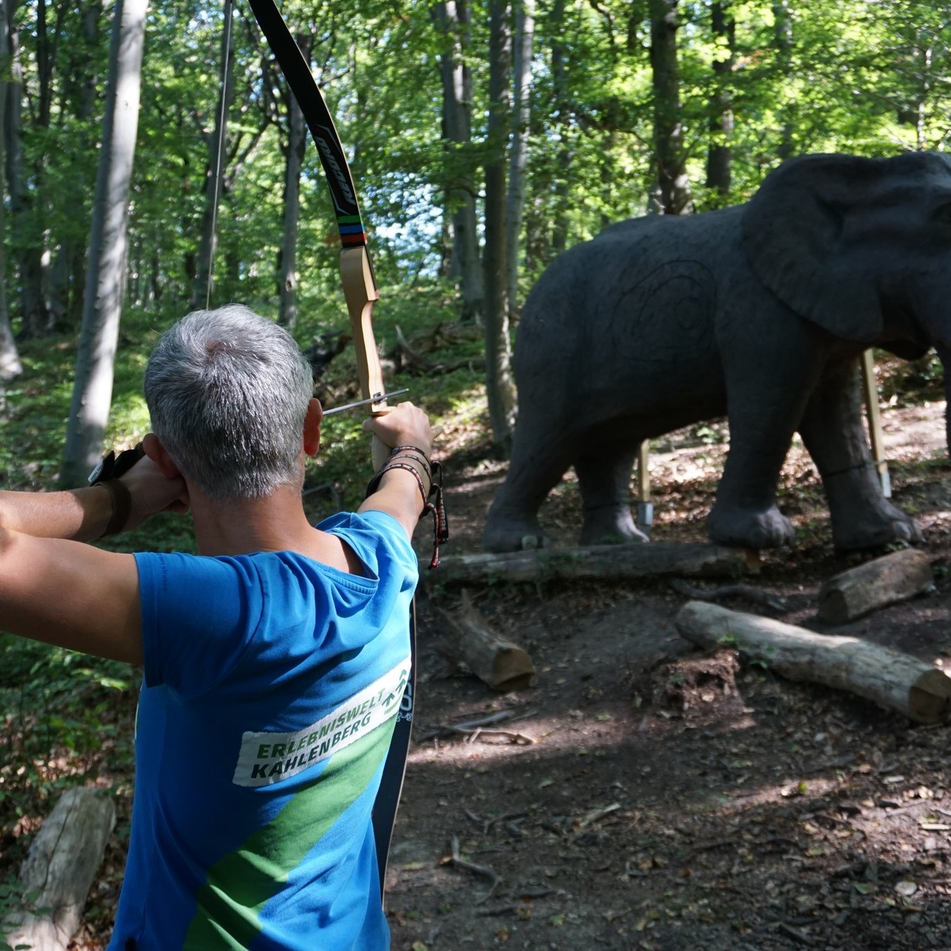 Bogensportpark Kahlenberg Different courses COURSE 3 -- blue