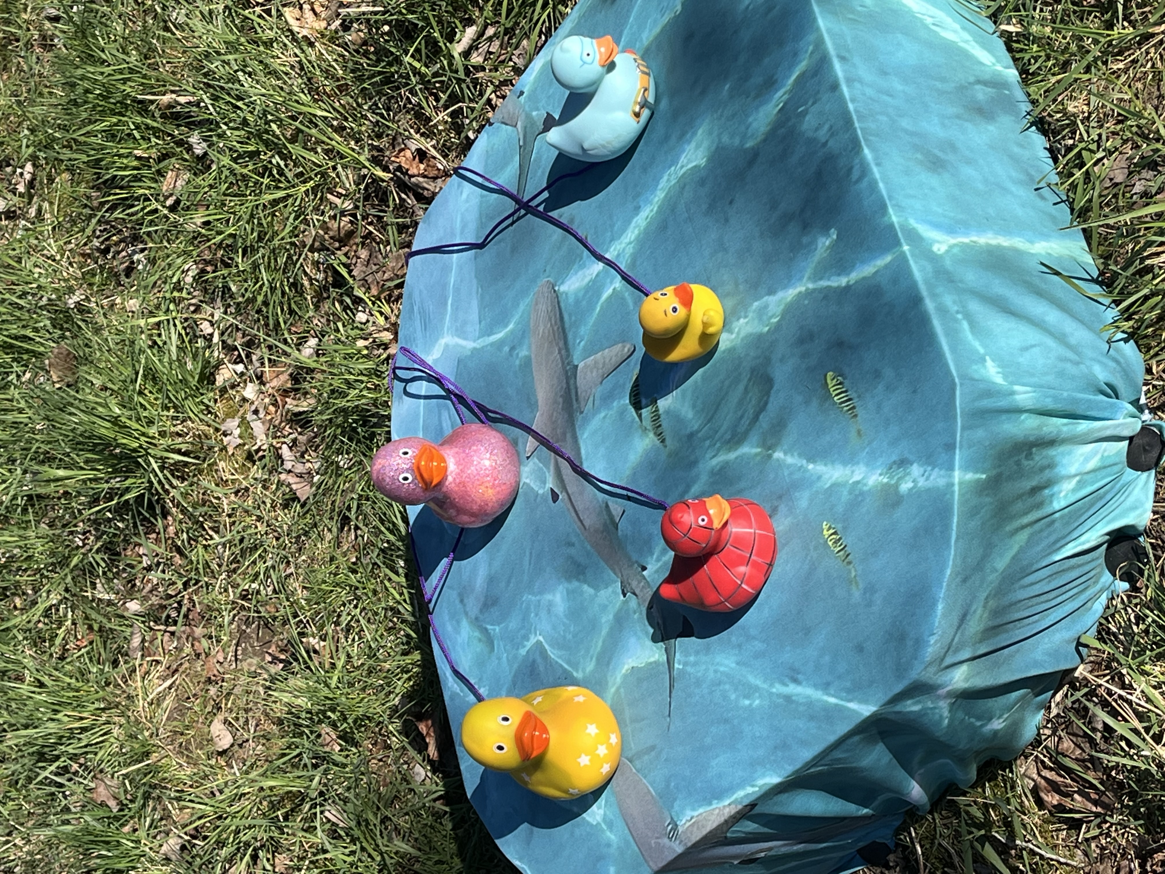 3D Parcour Bogenschießen: kleiner Bogensport-Park Oederan 