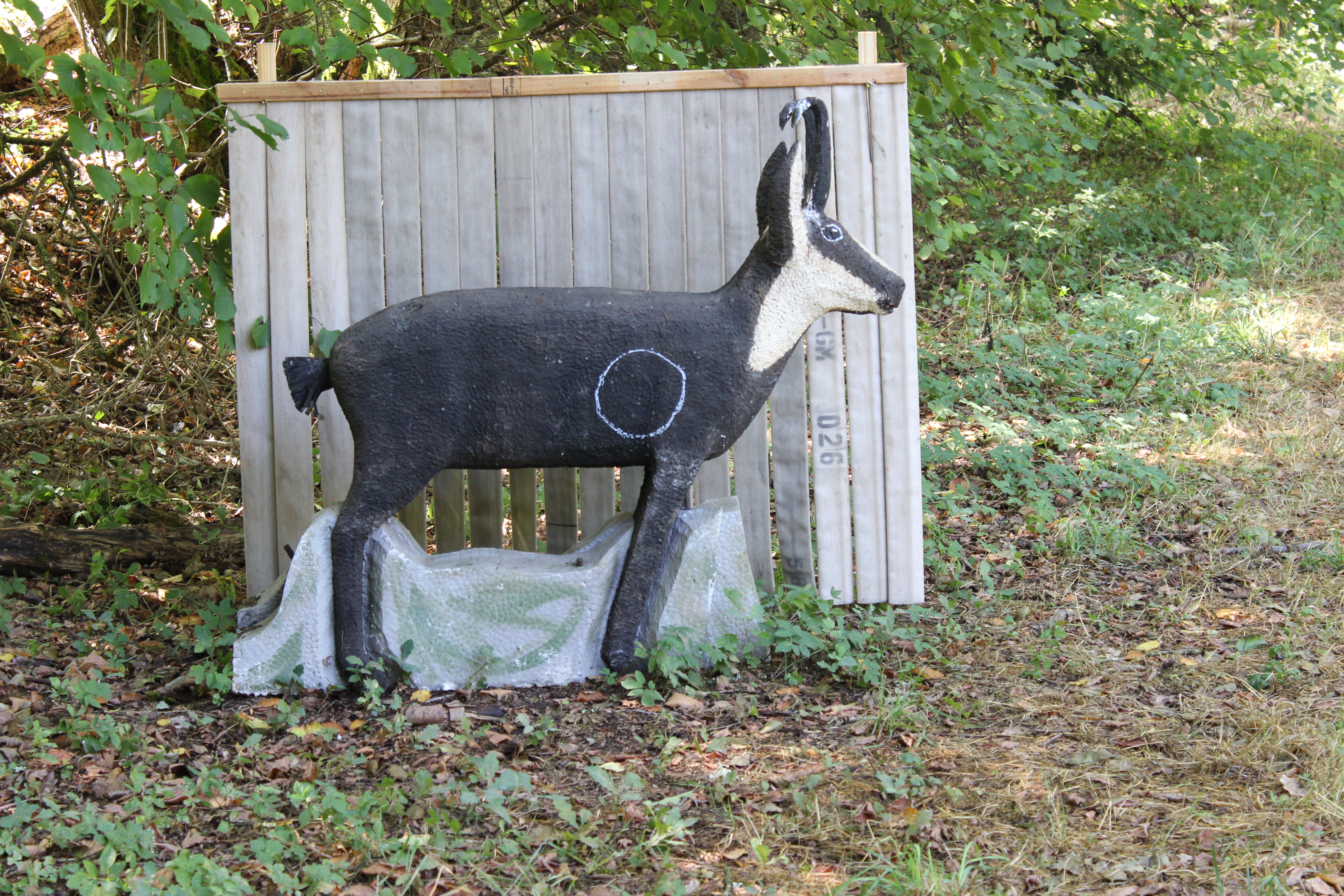 3D Parcour Bogensport - Ziel 13 Gämse - Bogensport und -spassparcours Nanzdietschweiler
