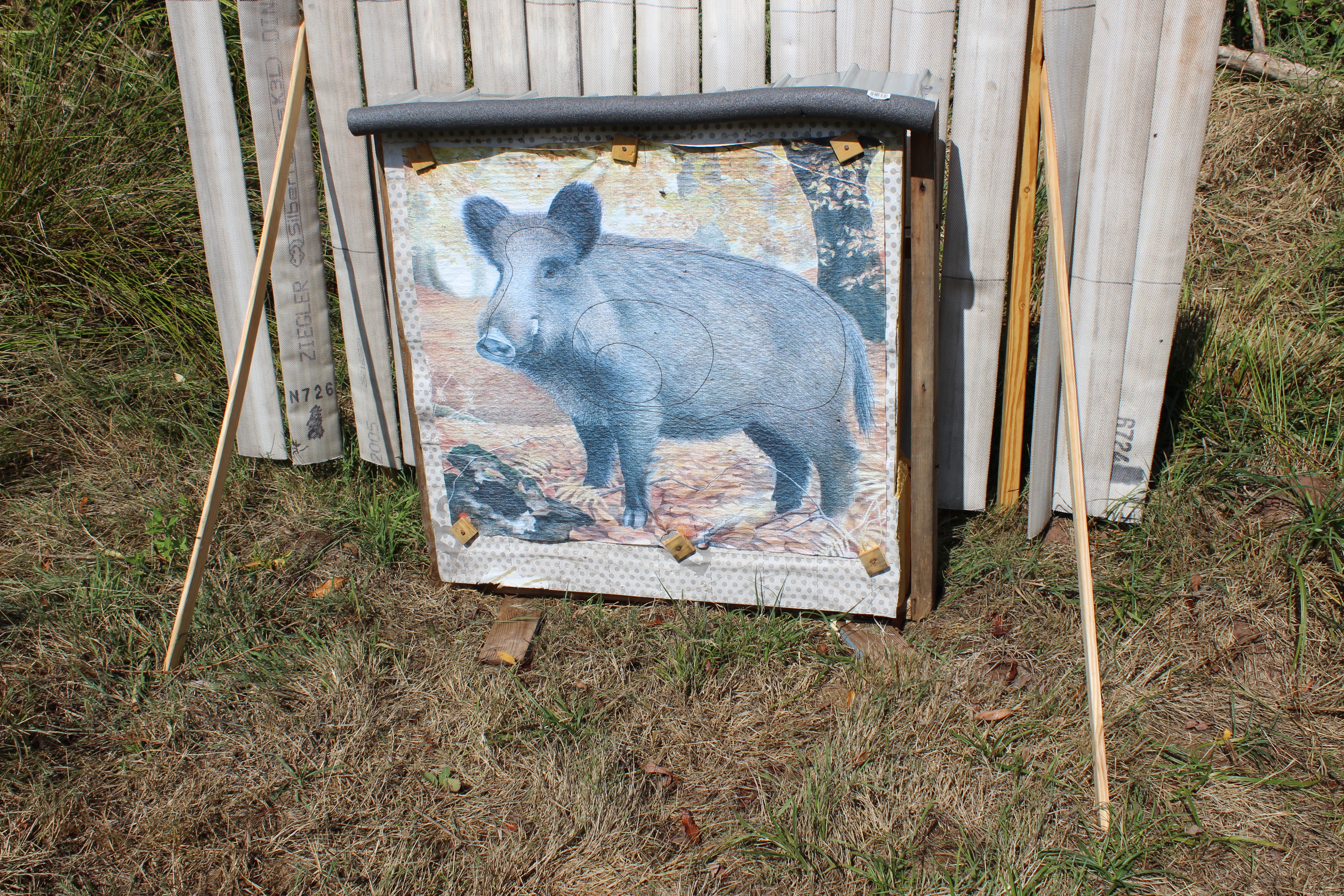3D Parcour Bogensport - Ziel 2 Wildschwein - Bogensport und -spassparcours Nanzdietschweiler