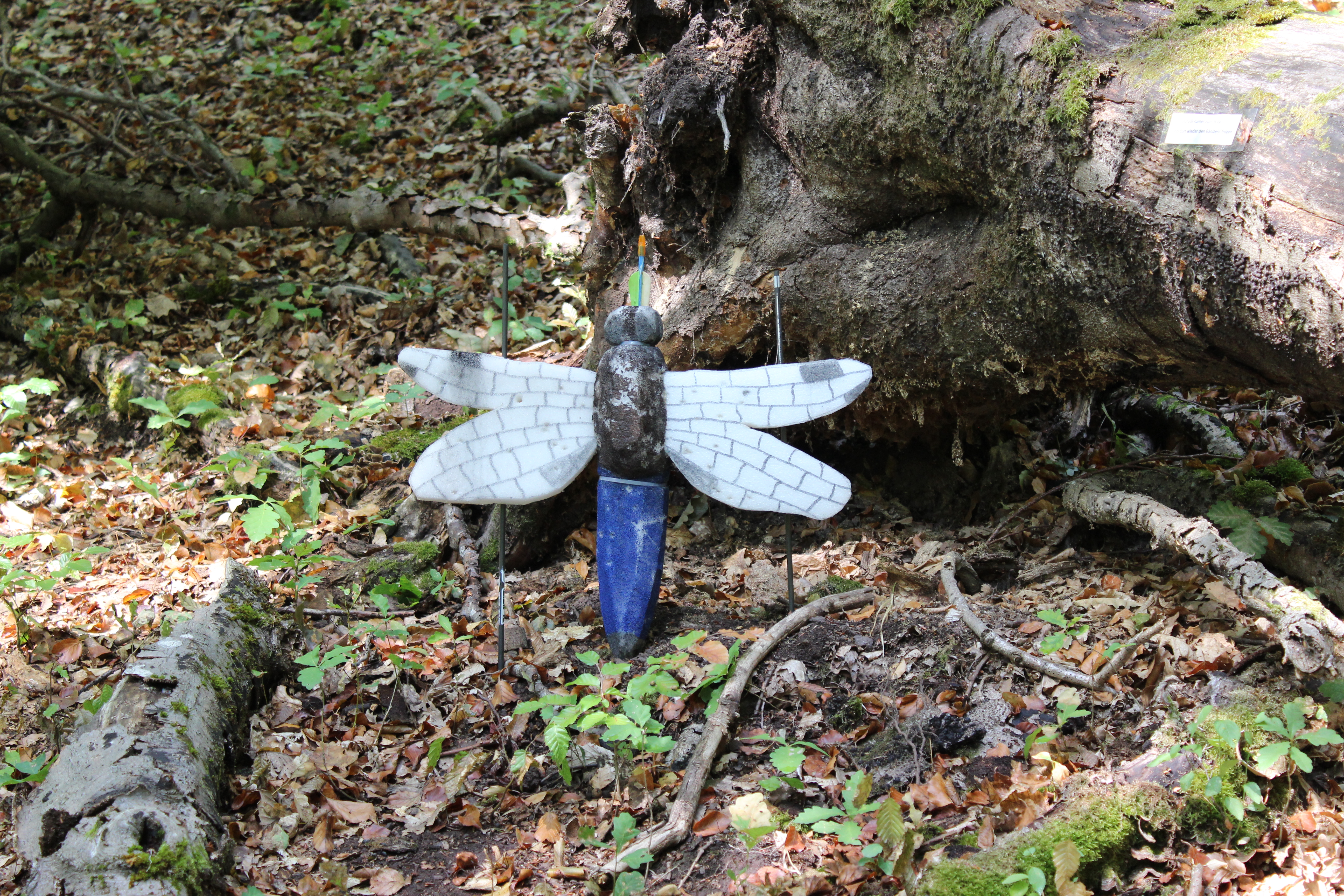 3D Parcour Bogenschießen: Libelle - Bogensport und -spassparcours Nanzdietschweiler