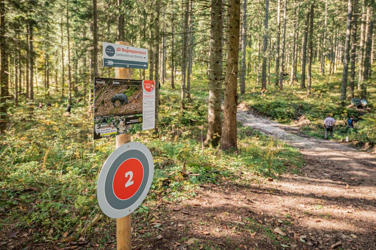 3D-Bogenparcours in Lackenhof am Ötscher Different courses Eibenkogel route
