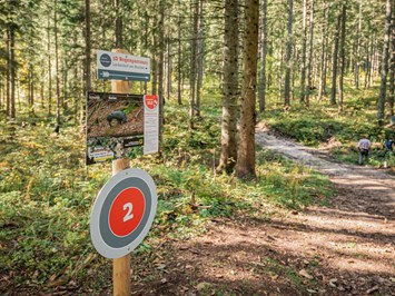 3D-Bogenparcours in Lackenhof am Ötscher Unterschiedliche Parcours Route Eibenkogel