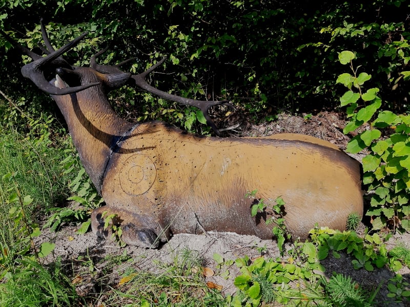 3D Parcour Bogensport - Donauraum - WBU Aggsbach Markt