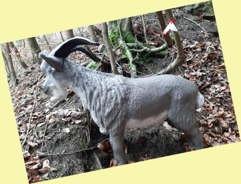 WBU Aggsbach Markt Different courses Red course