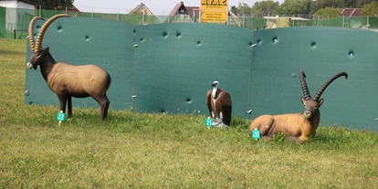3D Parcour Bogensport - Marchtrenk - BSZ Ansfelden ASK Nettingsdorf