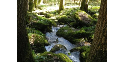 3D Parcour Bogensport - Marchtrenk - Bogensport Granitland