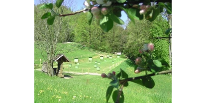 3D Parcour Bogensport - Marchtrenk - Bogensport Schneeberger