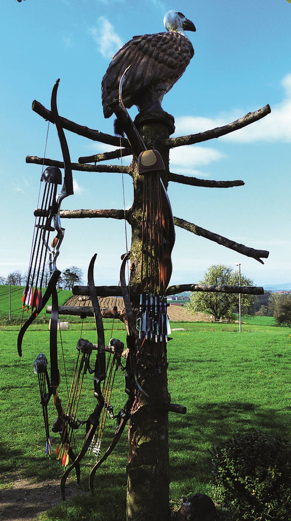 3D Parcour Bogensport - Marchtrenk - Walhalla