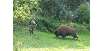 3D Parcour Bogensport - Marchtrenk - Walhalla