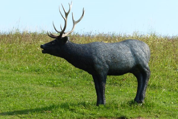 Walhalla Unterschiedliche Parcours Turnier Parcours