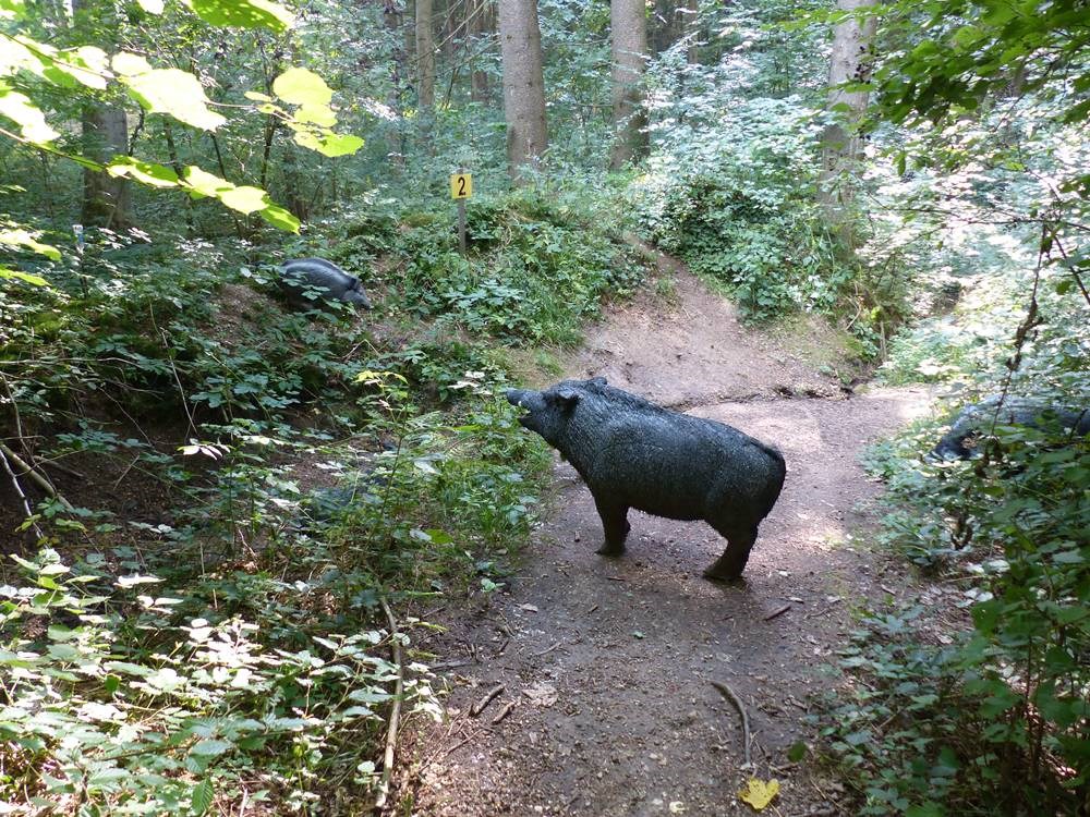 Walhalla Unterschiedliche Parcours Haus Parcours