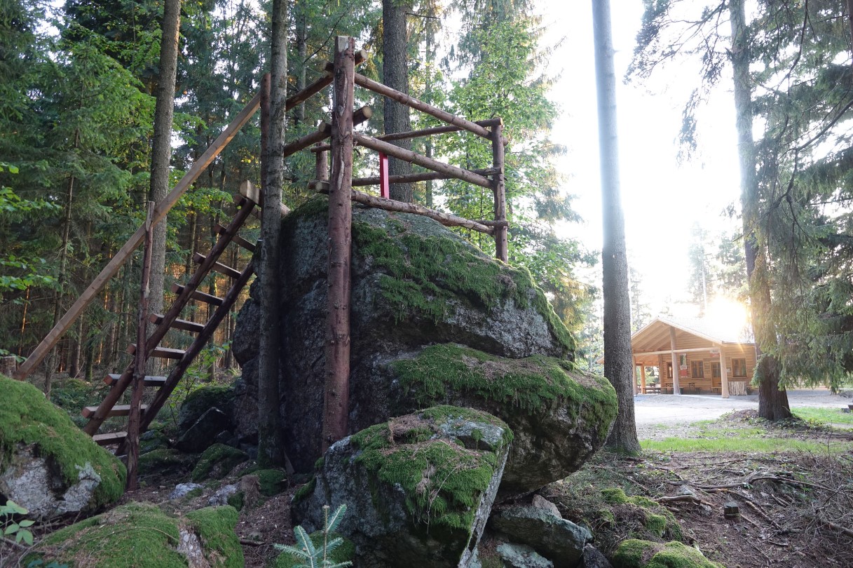 3D archery course - Mühlviertel - Bogen Parcours Windhaag b. Fr.