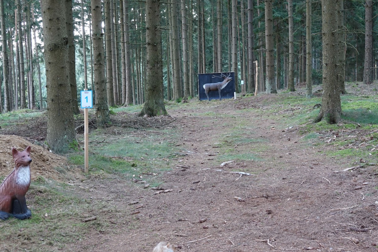 3D archery course - Mühlviertel - Bogen Parcours Windhaag b. Fr.